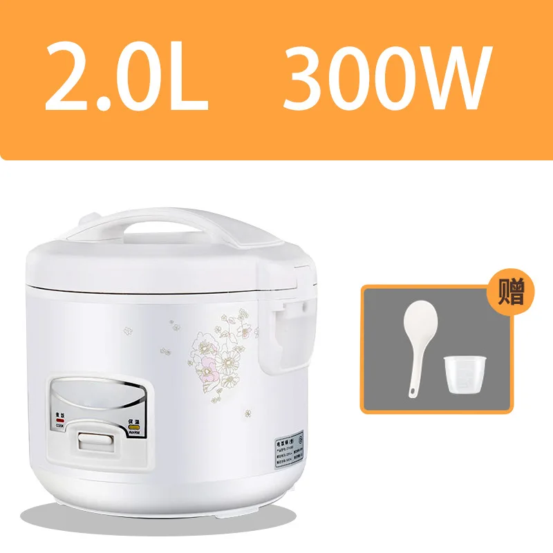 cuiseur de riz électrique